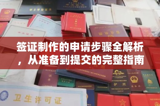 湘桥签证制作的申请步骤全解析，从准备到提交的完整指南