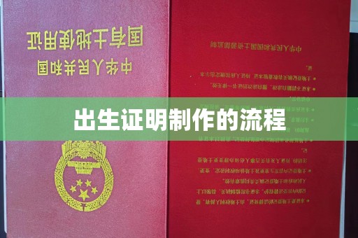 湘桥出生证明制作的流程
