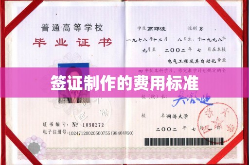 湘桥签证制作的费用标准