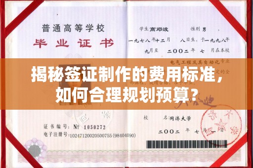 湘桥揭秘签证制作的费用标准，如何合理规划预算？