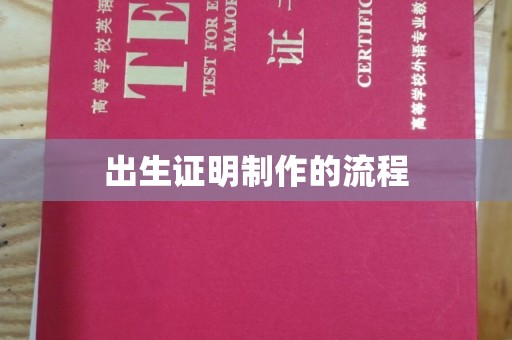 湘桥出生证明制作的流程