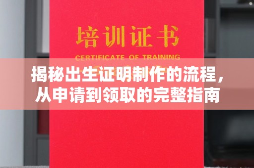 湘桥揭秘出生证明制作的流程，从申请到领取的完整指南