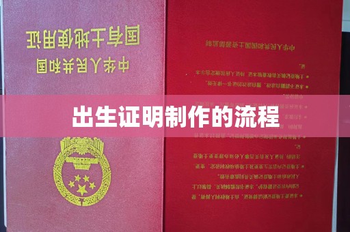 湘桥出生证明制作的流程